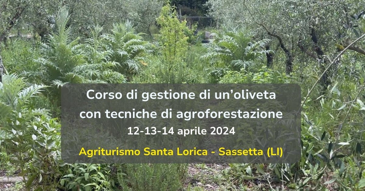 Corso di gestione di un’oliveta con tecniche di agroforestazione Agriturismo Santa Lorica - Sassetta (LI)