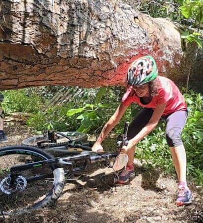 pineta baratti in bicicletta