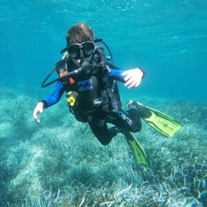 baratti diving immersioni subacquee toscana