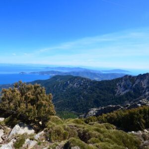 escursioni a cavallo baratti