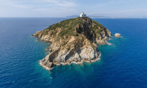 immersioni isola di palmaiola baratti diving