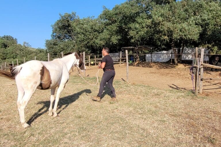 matteo gherardini e cavallo passioni di maremma