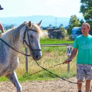 vacanze cavallo bambini toscana