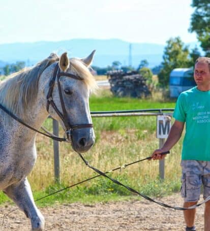 vacanze cavallo bambini toscana