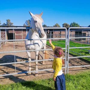 vacanze con i cavalli bambini