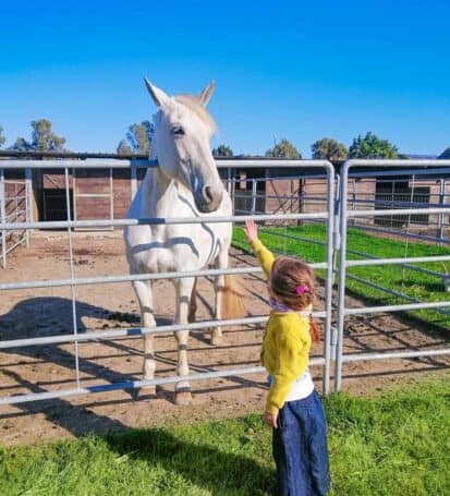 vacanze con i cavalli bambini