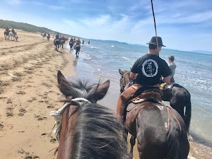 ASD ASSOCIAZIONE IPPICA PASSIONI DI MAREMMA