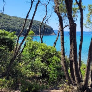 ebike escursione cala violina da puntone a punta ala