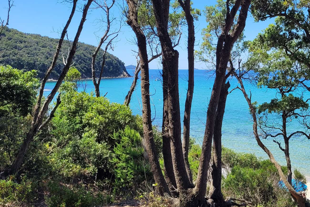 ebike tour cala violina da puntone a punta ala