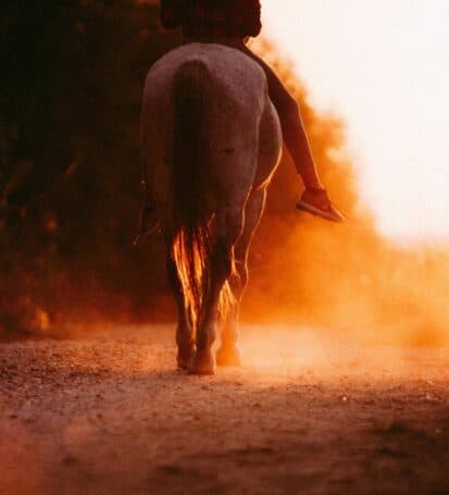 Escursione a cavallo al tramonto nella Val di Lima