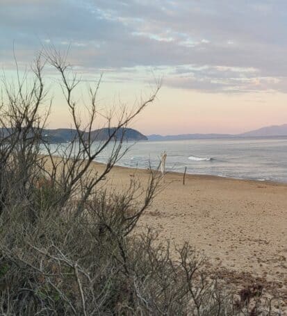 Vista dell'alba sulla spiaggia deserta della Costa degli Etruschi con vegetazione in primo piano