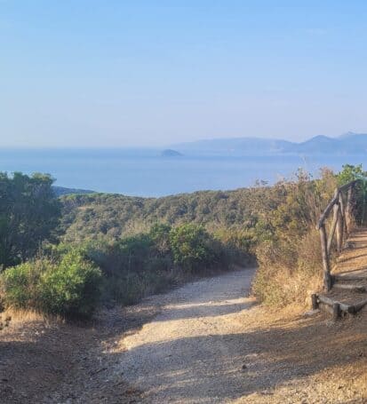 Vista panoramica del sentiero 300 della via dei cavalleggeri con il mare e le isole dell'Arcipelago Toscano sullo sfondo