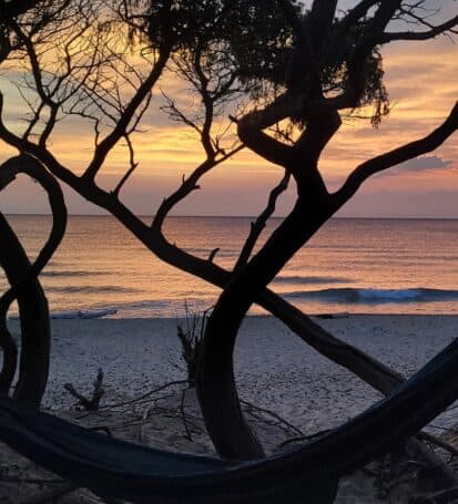 Tramonto sulla spiaggia della Costa degli Etruschi con alberi in silhouette