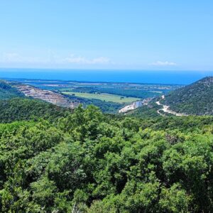 paesaggio della Val di Cornia e del mar tirrento visto durante il tour in e-bike